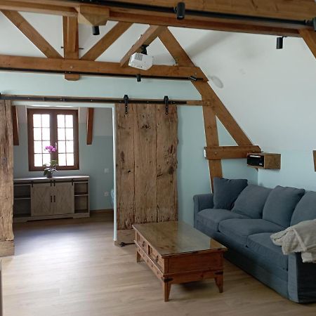Entre Galets Apartment Sauveterre-de-Bearn Ngoại thất bức ảnh
